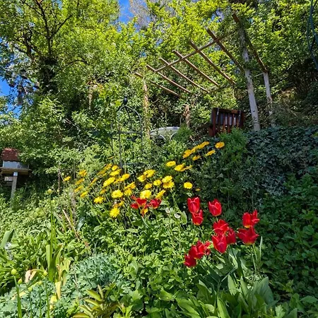 Krumm Und Schepp 度假居 Niederhausen an der Appel